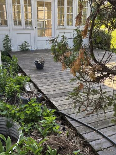 Deck Surround before Samscaped