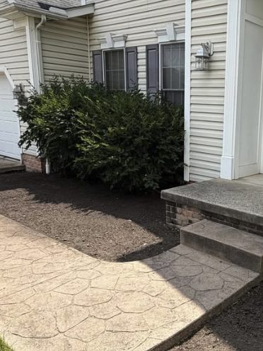 Entry Cleanup after Samscaped