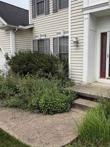 Entry Cleanup before Samscaped