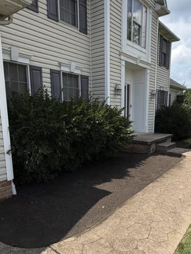 Shrub Trim & Mulch after Samscaped